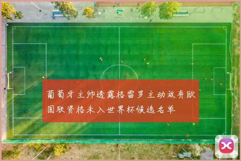 葡萄牙主帅透露格雷罗主动放弃欧国联资格未入世界杯候选名单