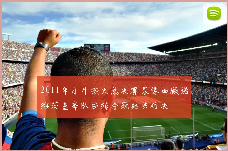 2011年小牛热火总决赛录像回顾诺维茨基率队逆转夺冠经典对决