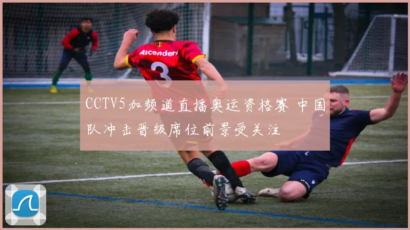 CCTV5加频道直播奥运资格赛 中国队冲击晋级席位前景受关注