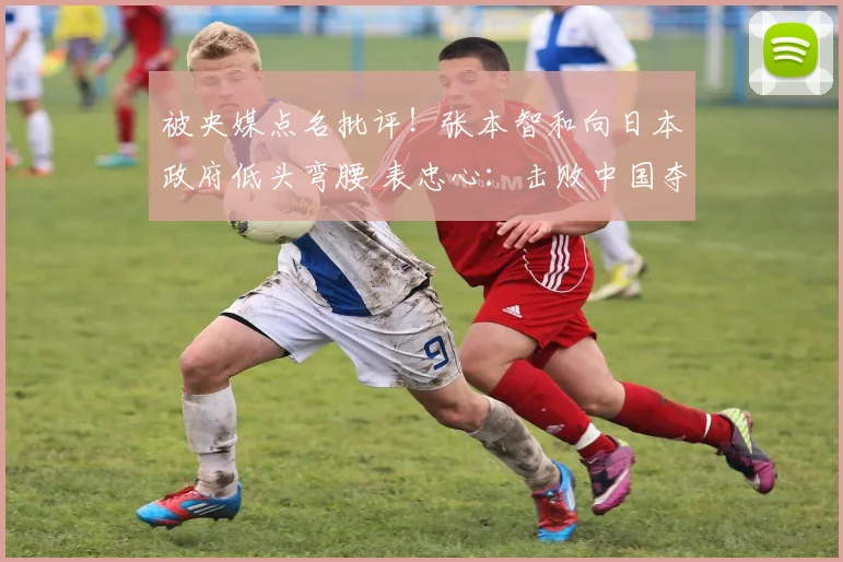 被央媒点名批评！张本智和向日本政府低头弯腰 表忠心：击败中国夺冠